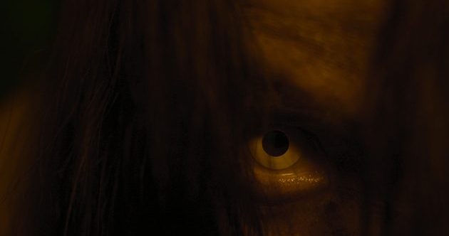 10 Oddly Specific Horror Movie Subgenres You’ve Probably Never Heard Of ...
